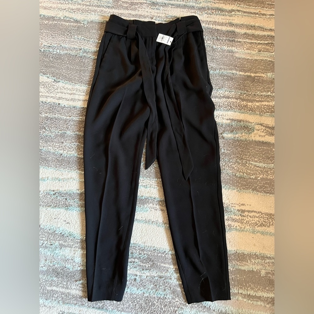 Express Dress Pants